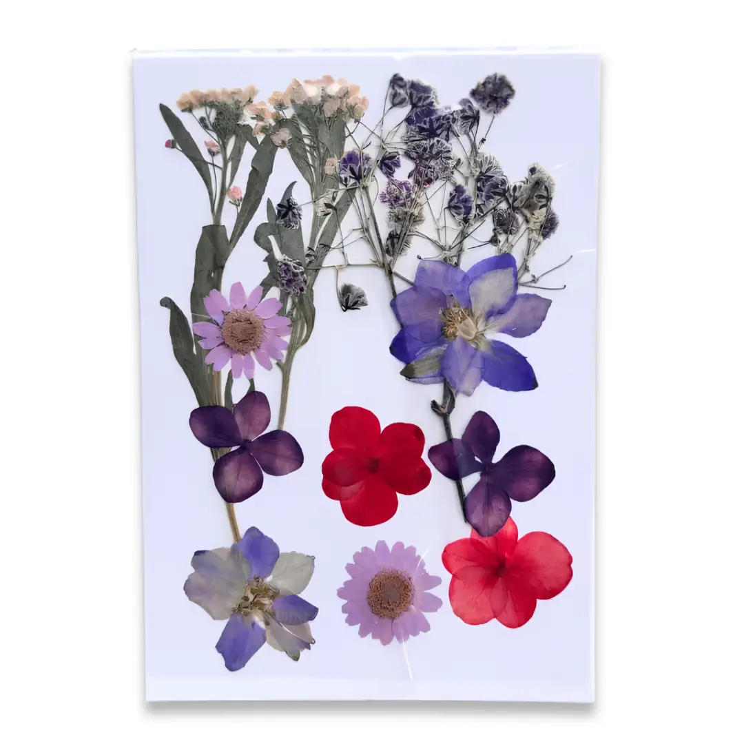 12 in 1 Multi Pressed Dry Flower for Resin Art