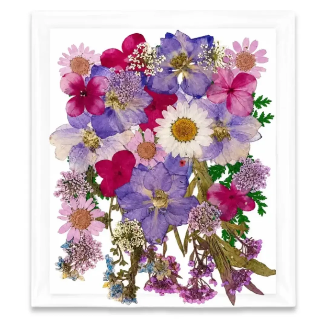 Pressed Dried Flower Pack for Resin