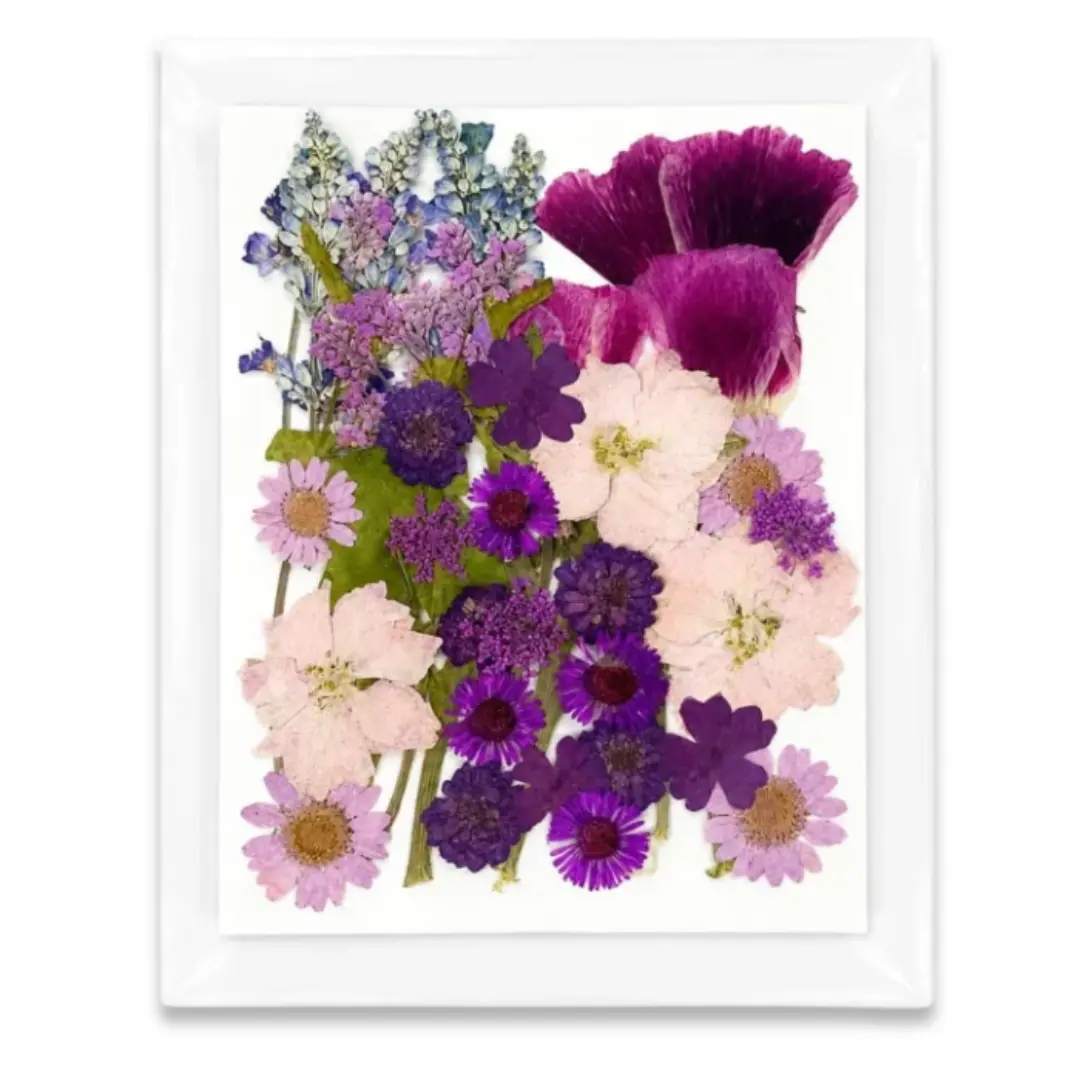 35-in-1 Purple & White Premium Pressed Dried Flower Pack for Resin