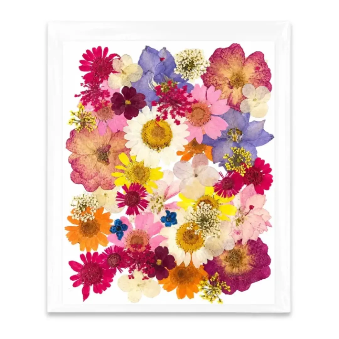 35-in-1 Premium Mixed Colour Pressed Dried Flower Pack for Resin
