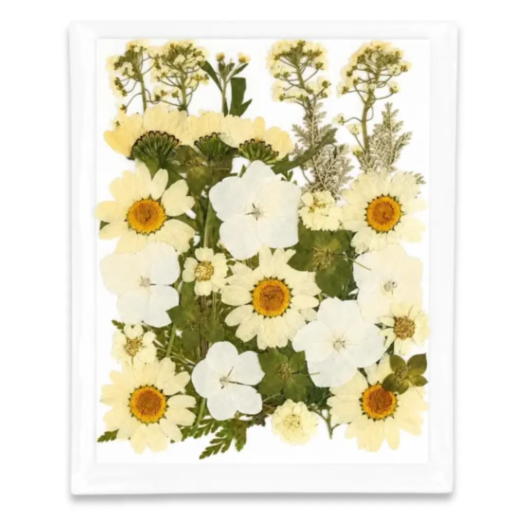35-in-1 Premium White Pressed Dried Flower Pack for Resin Art