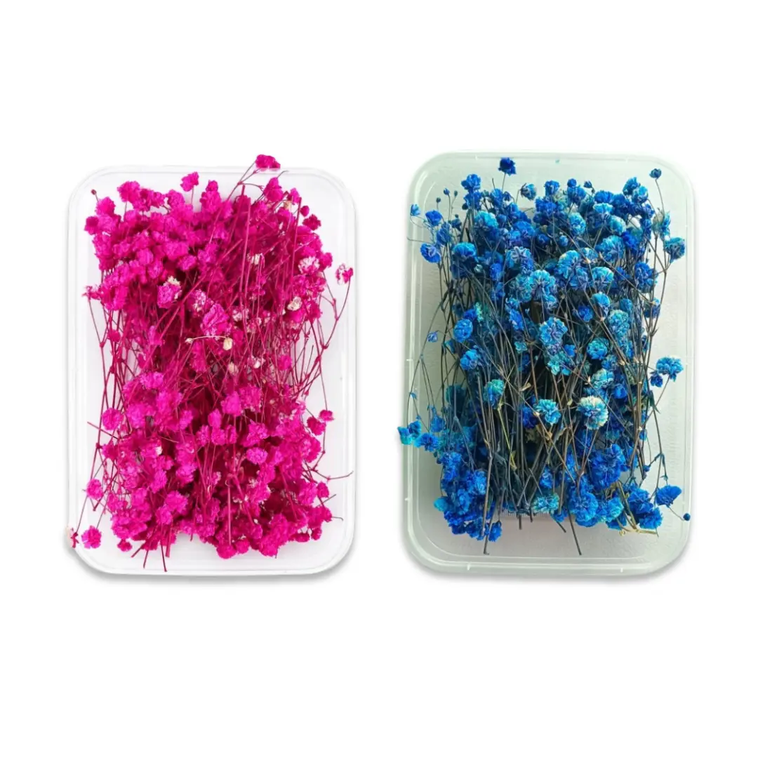 Blue Gipsy Dry Flower Box for Resin Art