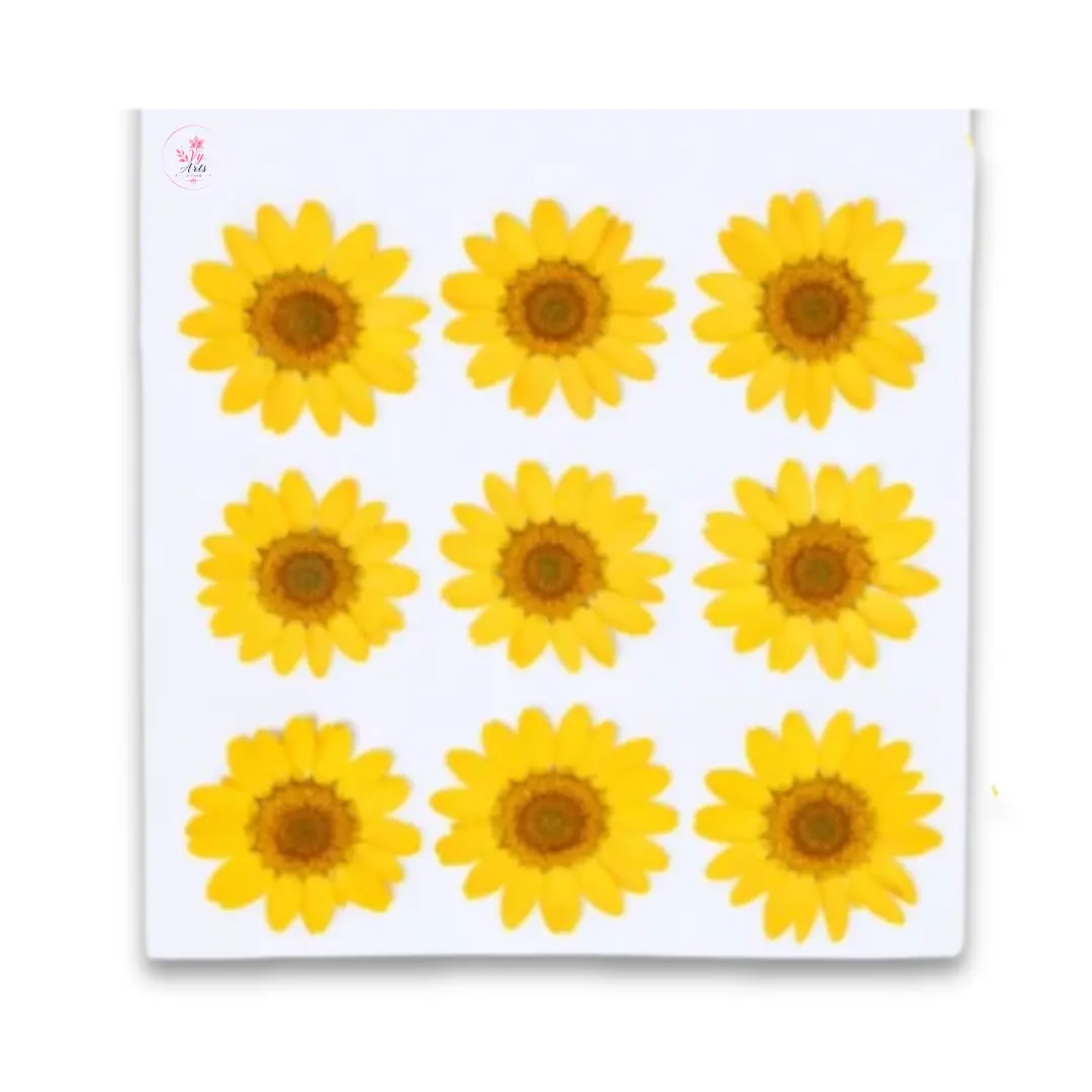 Yellow Daisy Pressed Dry Flower for Resin Art
